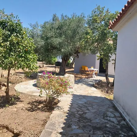 Maison d'hôtes Olive Garden *
