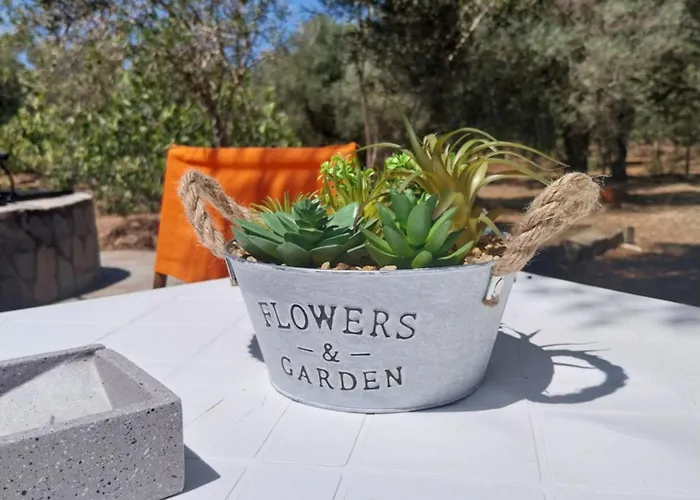 Vendégház Olive Garden