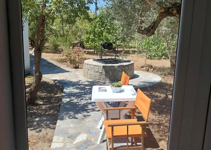 Olive Garden Kánalos